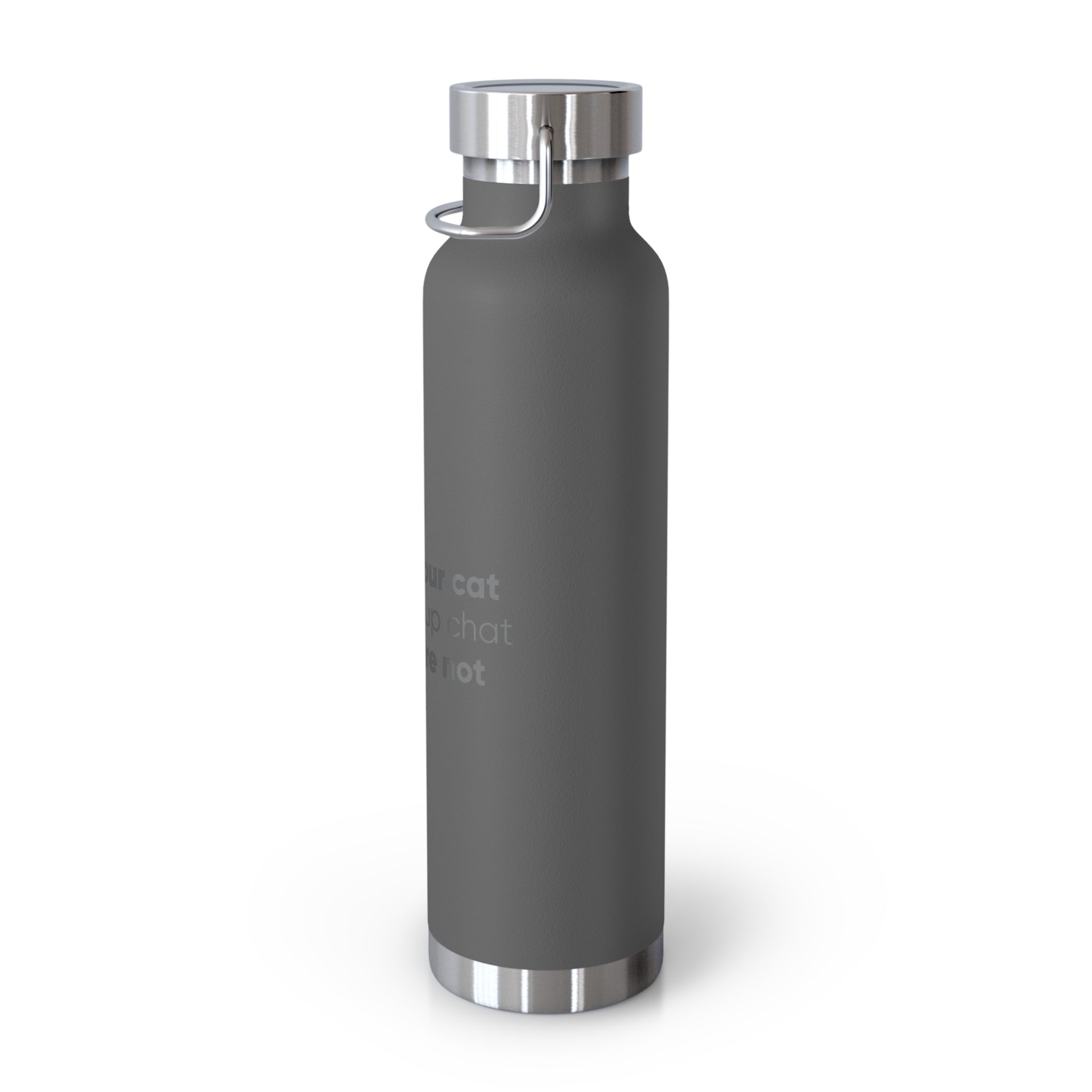 Red 22oz Insulated Bottle — Funny Cat Quote Water Thermos