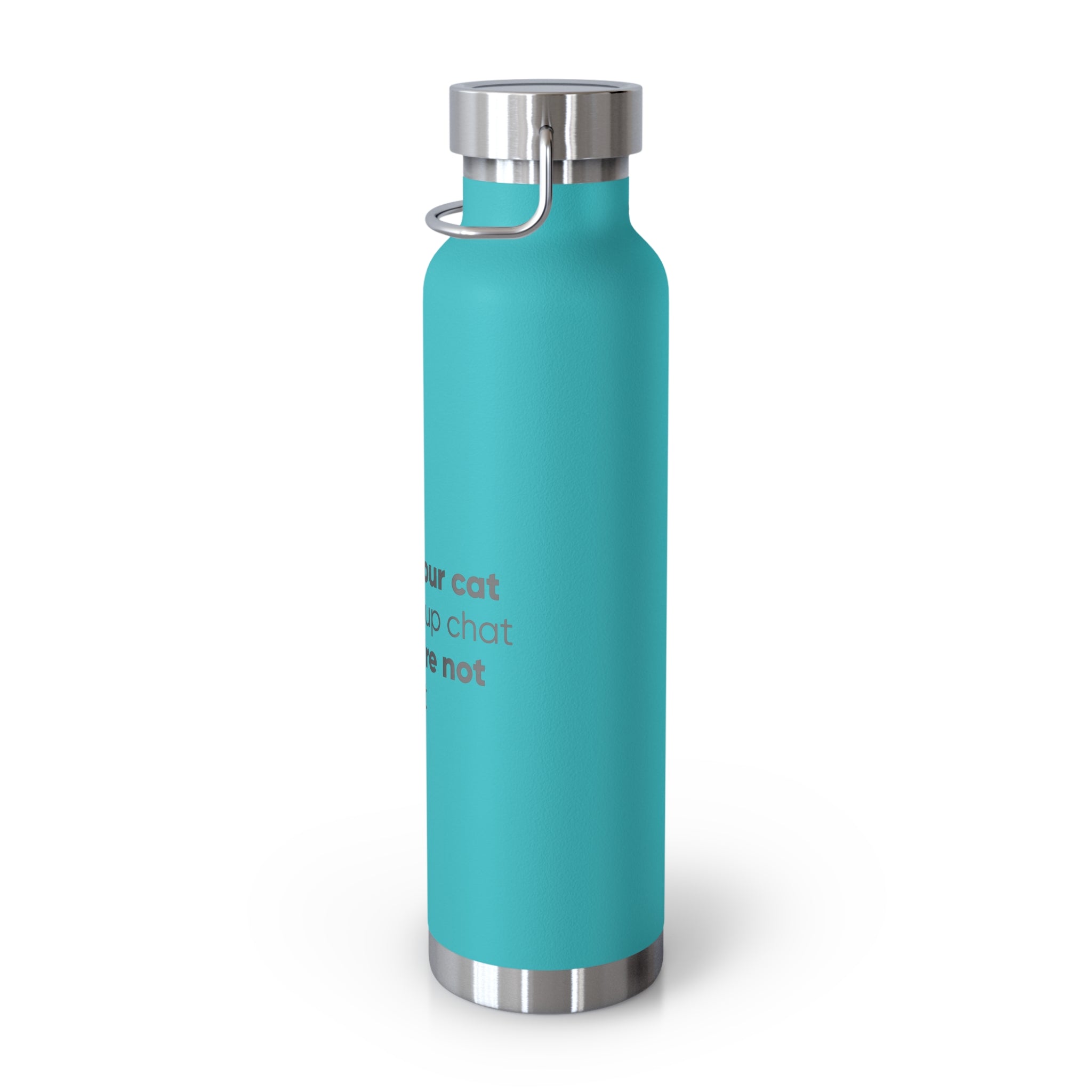 Red 22oz Insulated Bottle — Funny Cat Quote Water Thermos