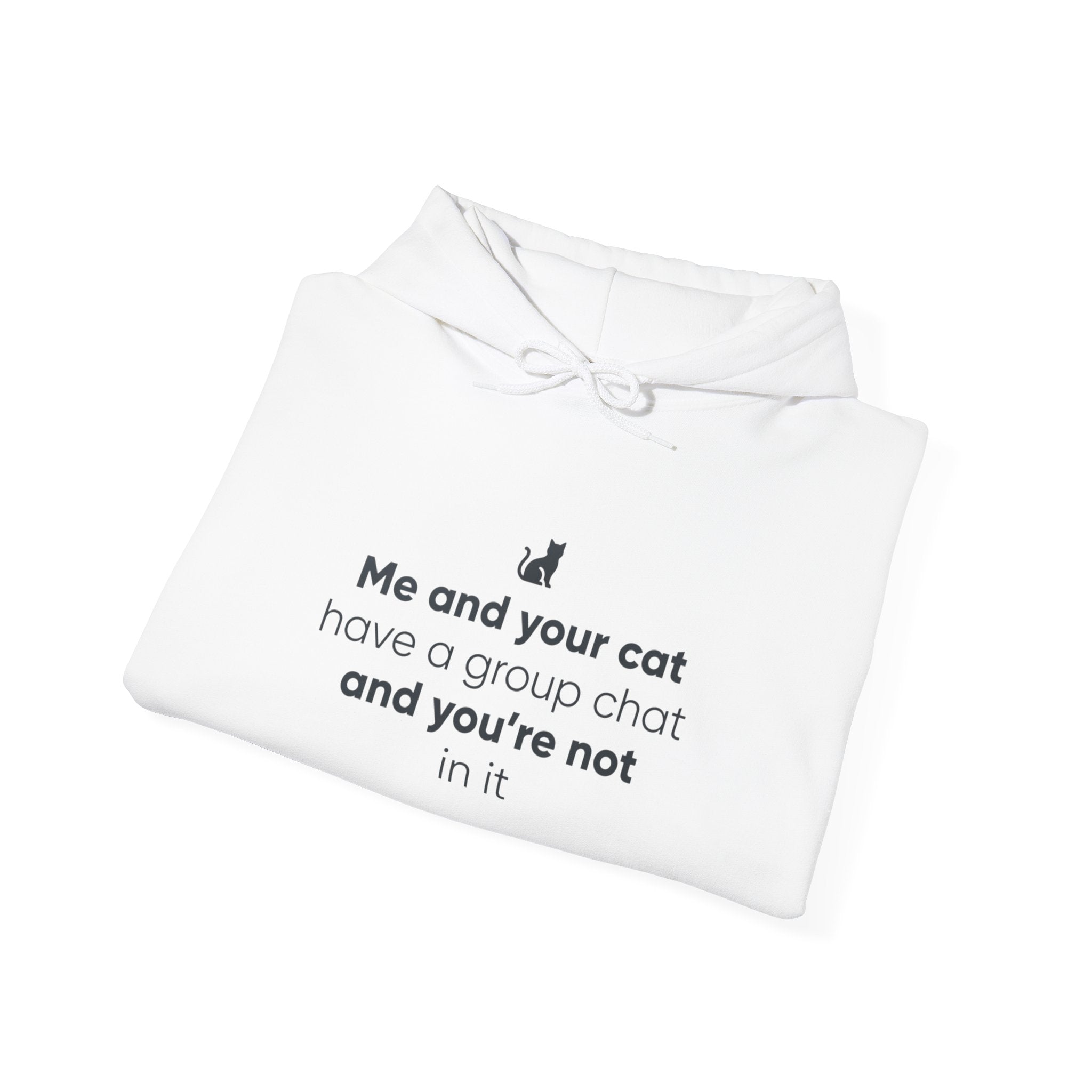 Cat Lovers Hoodie — “Me and your cat have a group chat and you’re not in it”