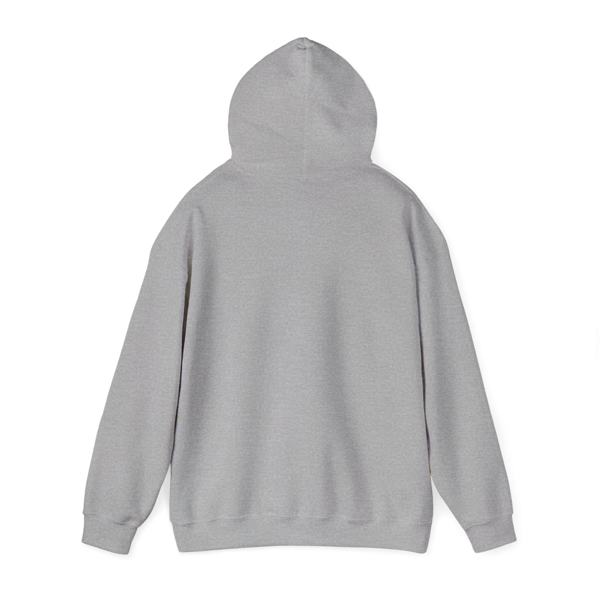Hoodie — "Warning: This Dog Reports Everything You Do to Their Human" Funny Dog Lover Pullover