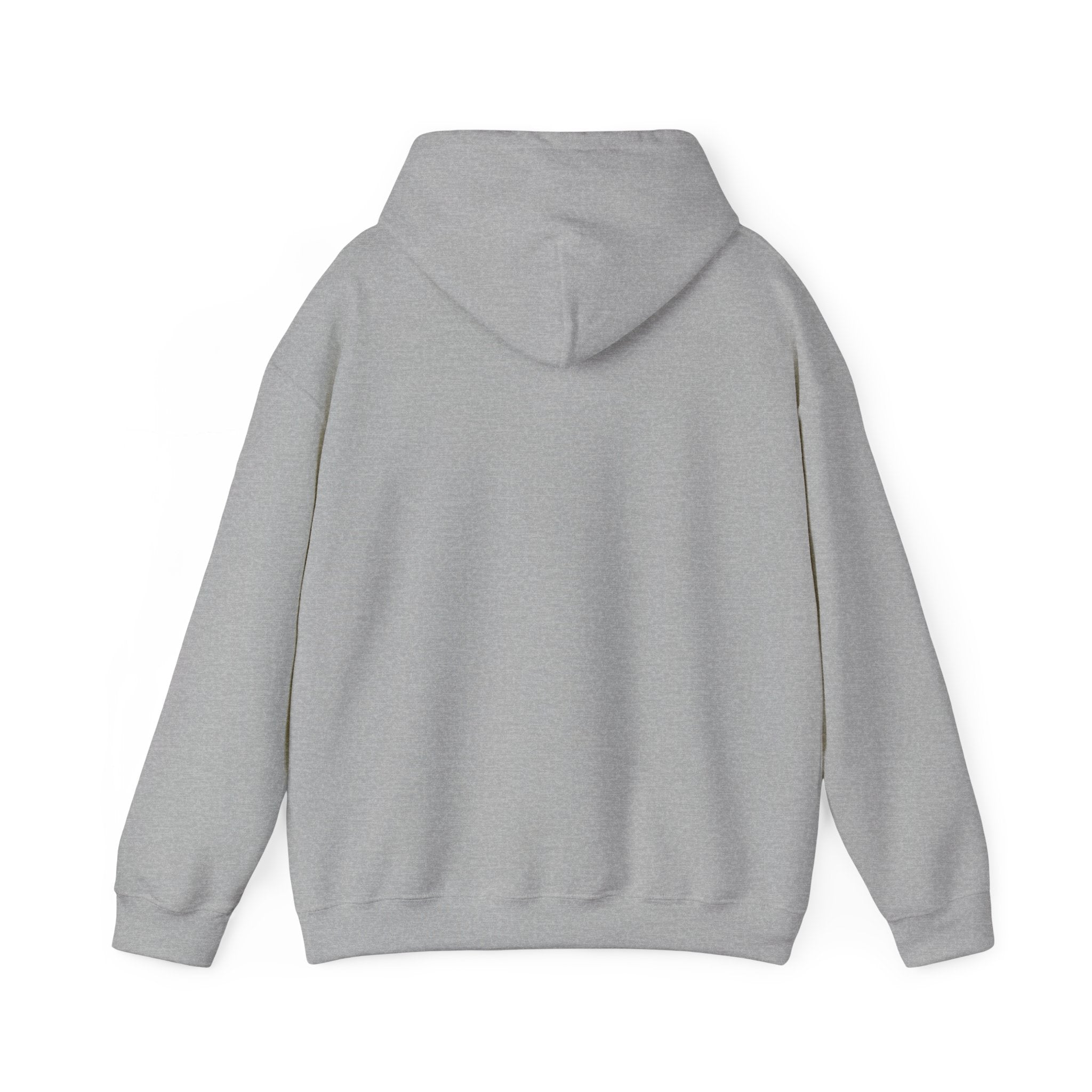 Hoodie — "Warning: This Dog Reports Everything You Do to Their Human" Funny Dog Lover Pullover