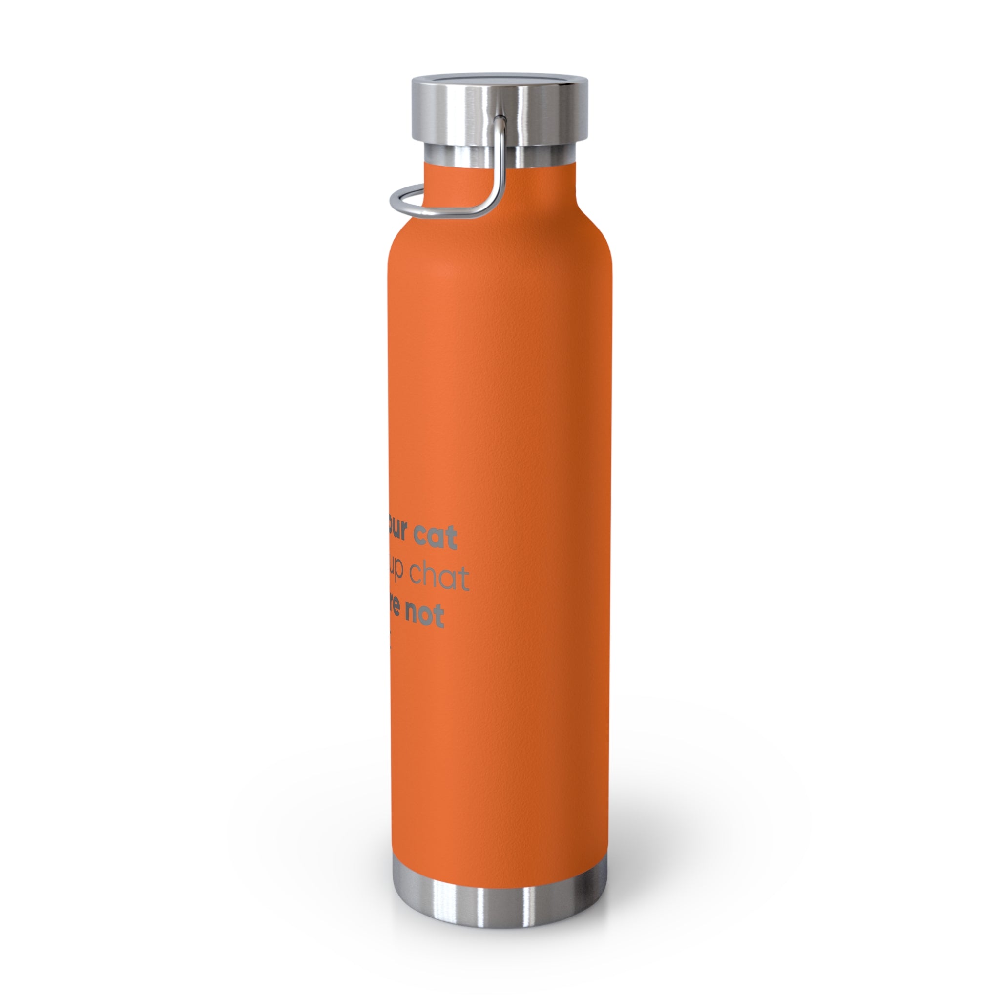 Red 22oz Insulated Bottle — Funny Cat Quote Water Thermos