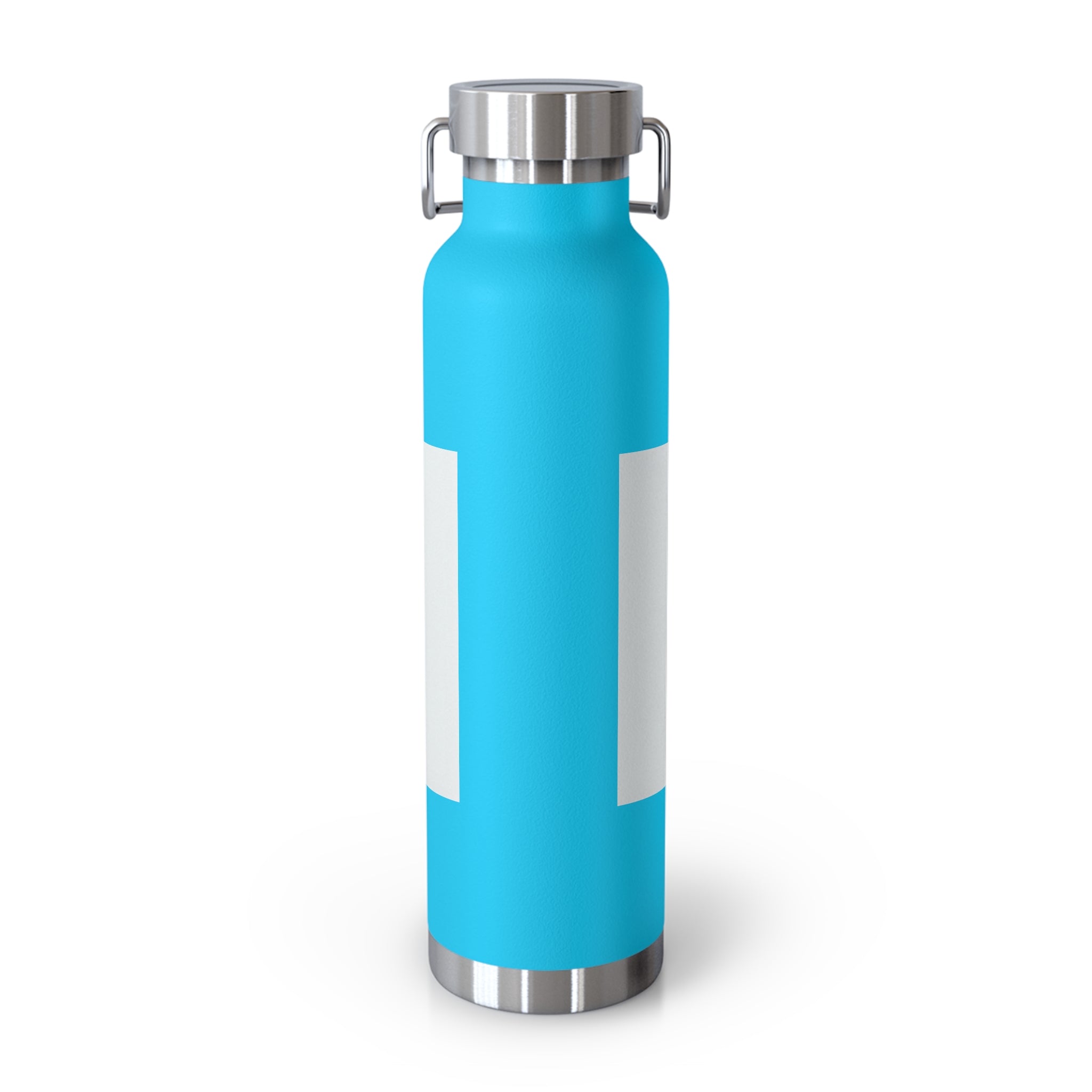 Insulated Water Bottle — "Warning: This Dog Reports Everything You Do to Their Human" (22oz)
