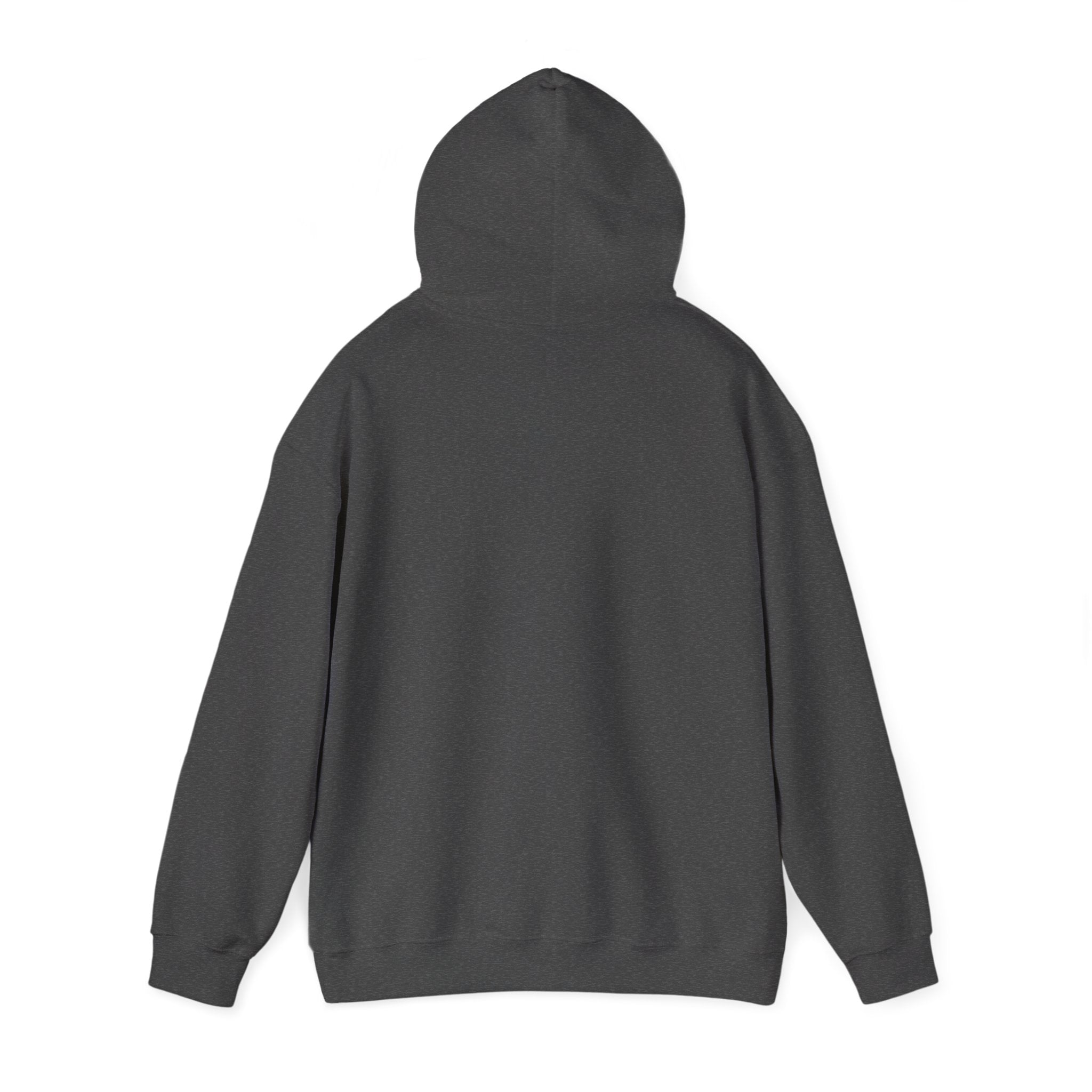 Hoodie — "Warning: This Dog Reports Everything You Do to Their Human" Funny Dog Lover Pullover