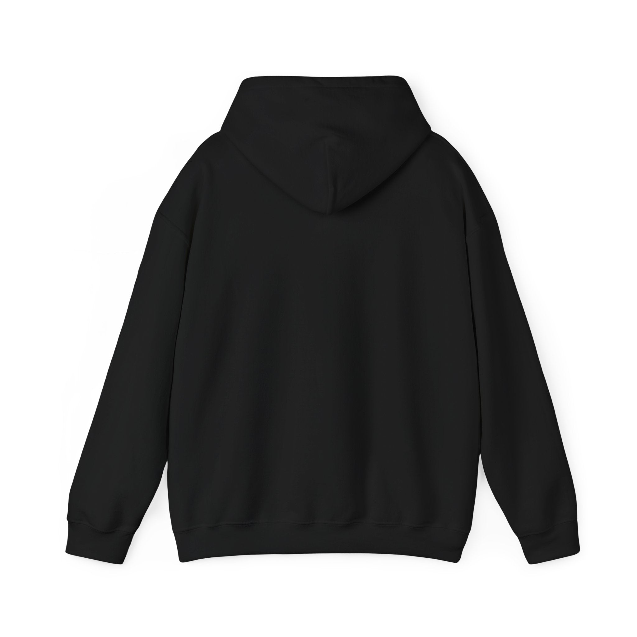 Hoodie — "Warning: This Dog Reports Everything You Do to Their Human" Funny Dog Lover Pullover