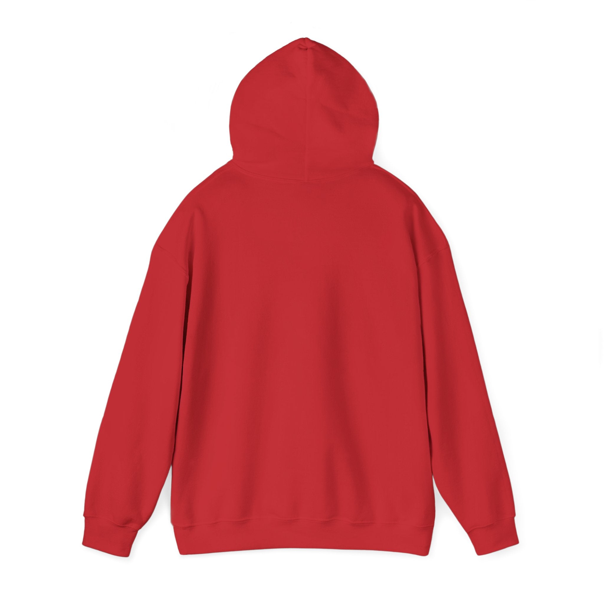 Hoodie — "Warning: This Dog Reports Everything You Do to Their Human" Funny Dog Lover Pullover
