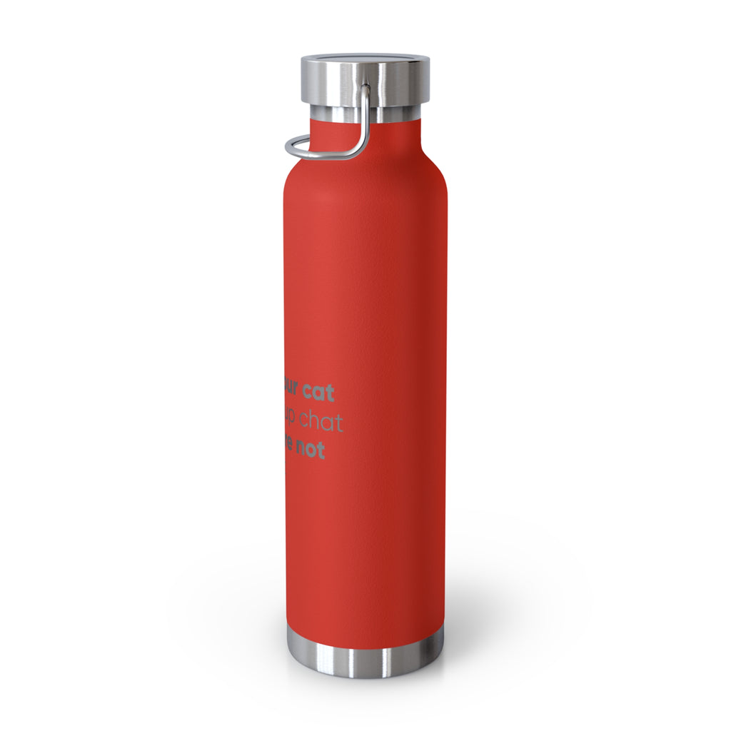 Red 22oz Insulated Bottle — Funny Cat Quote Water Thermos