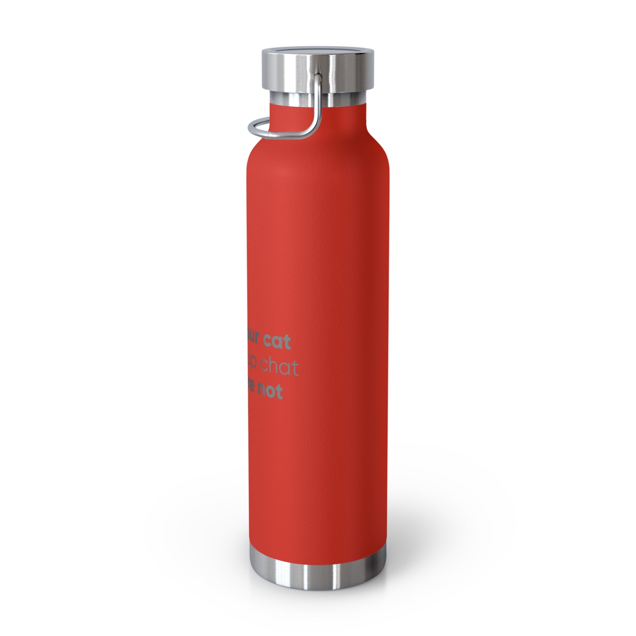 Red 22oz Insulated Bottle — Funny Cat Quote Water Thermos