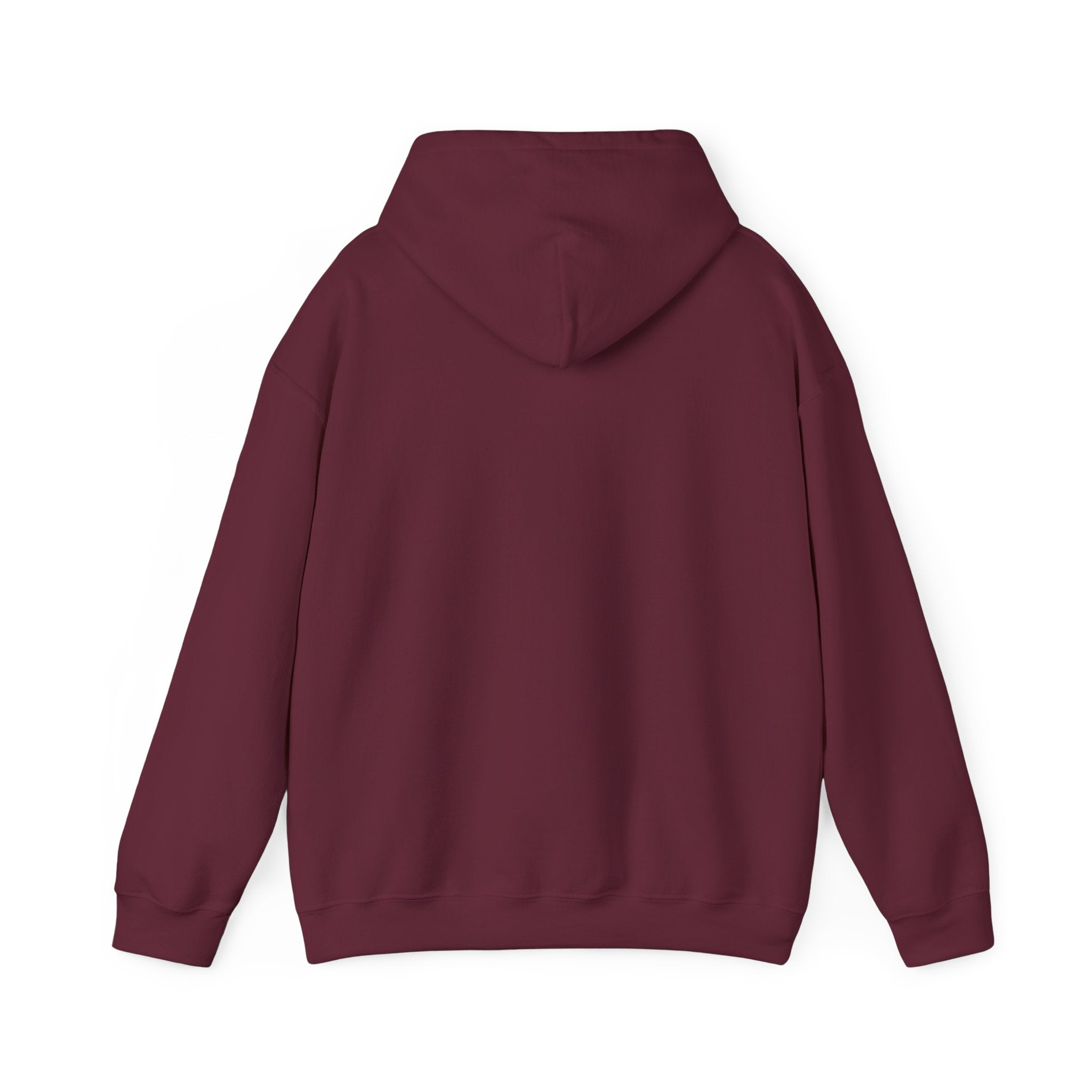 Hoodie — "Warning: This Dog Reports Everything You Do to Their Human" Funny Dog Lover Pullover