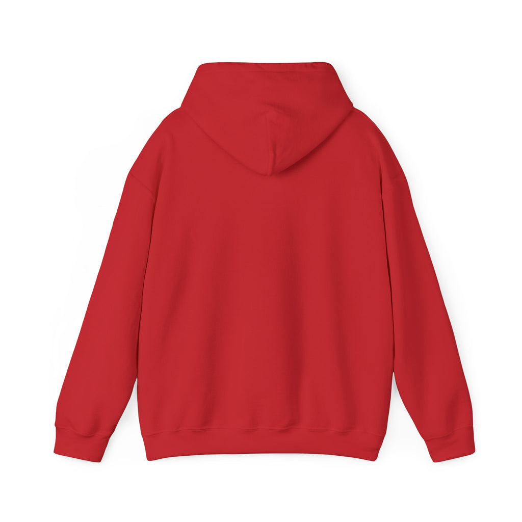 Cat Lovers Hoodie — “Me and your cat have a group chat and you’re not in it”