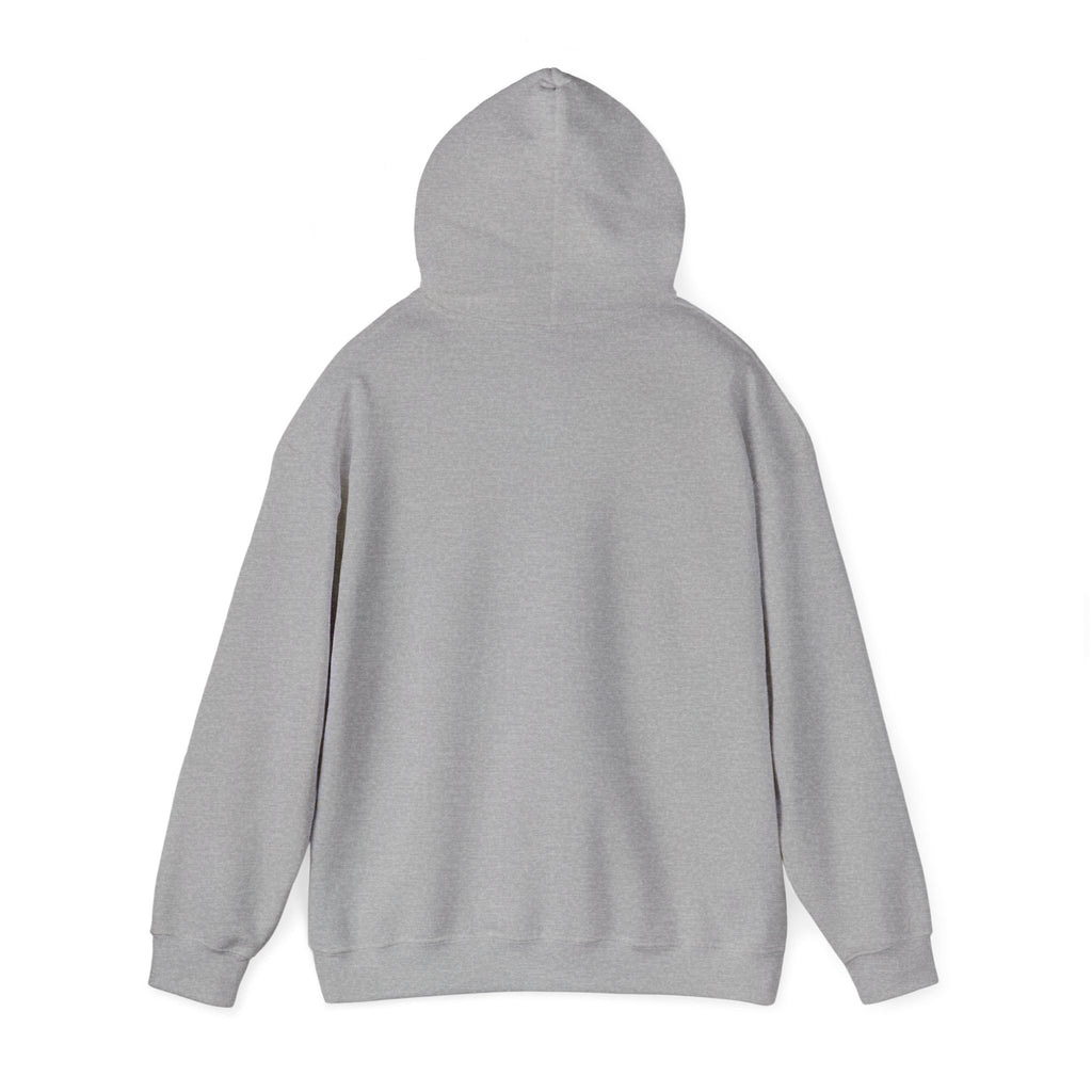 Cat Lovers Hoodie — “Me and your cat have a group chat and you’re not in it”