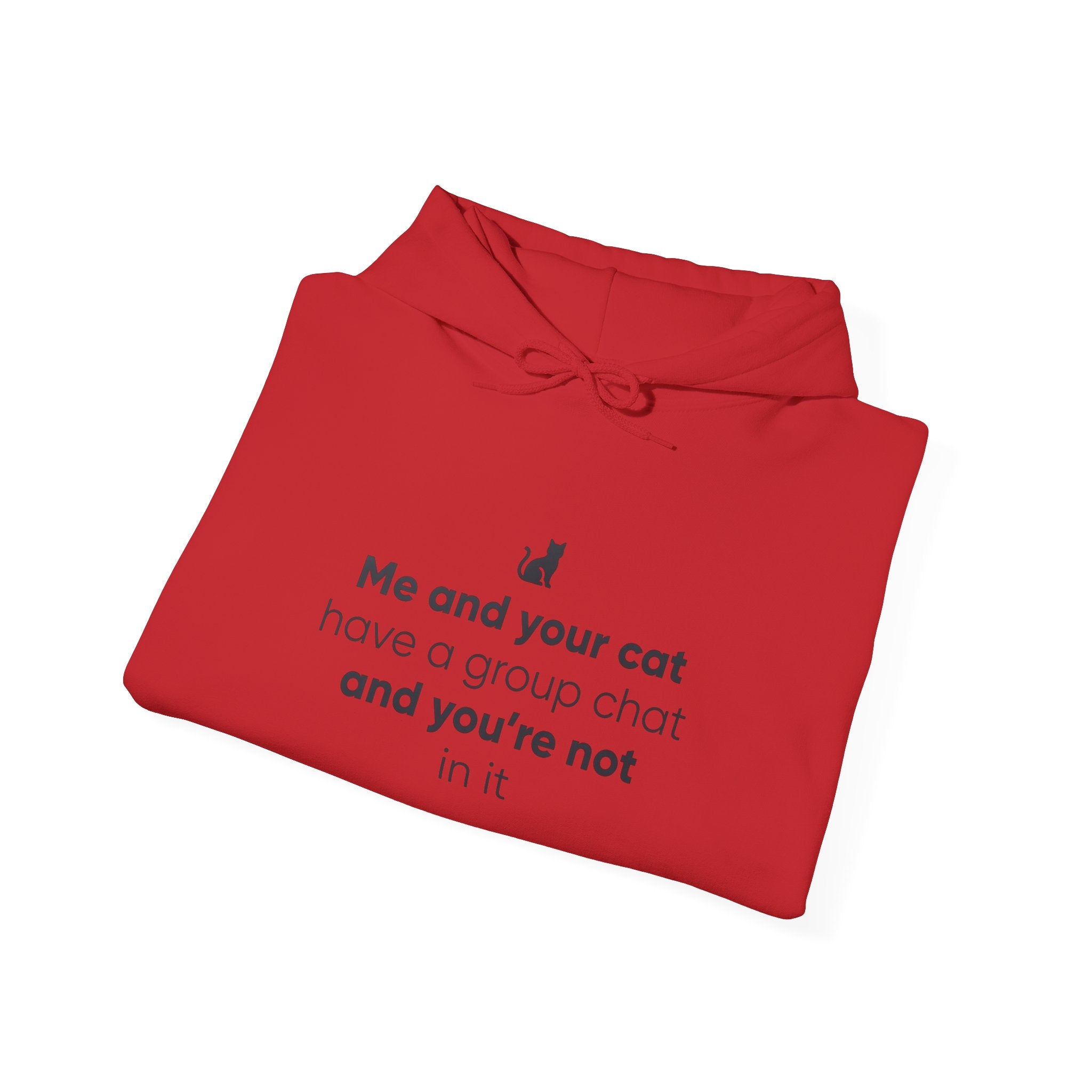 Cat Lovers Hoodie — “Me and your cat have a group chat and you’re not in it”