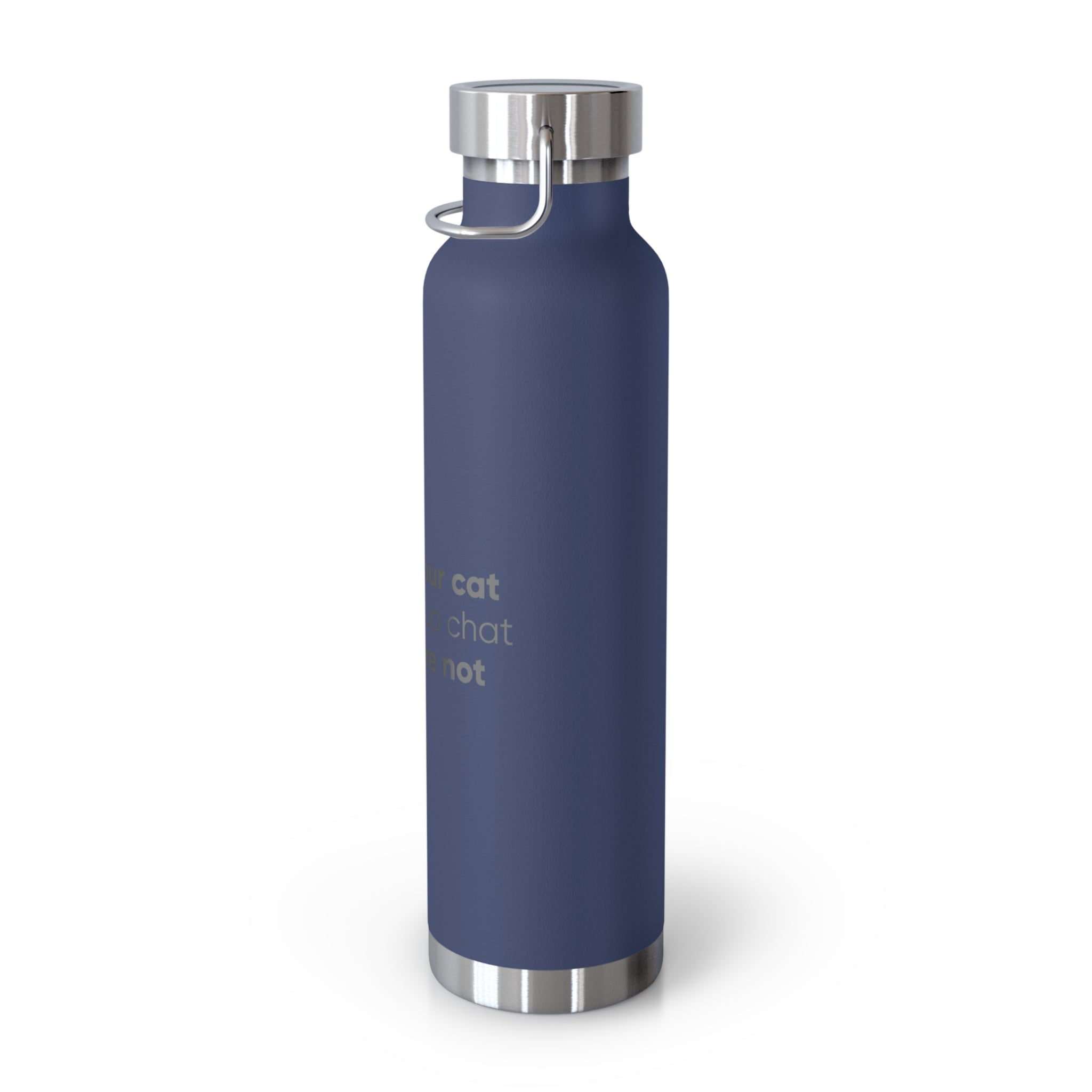 Red 22oz Insulated Bottle — Funny Cat Quote Water Thermos