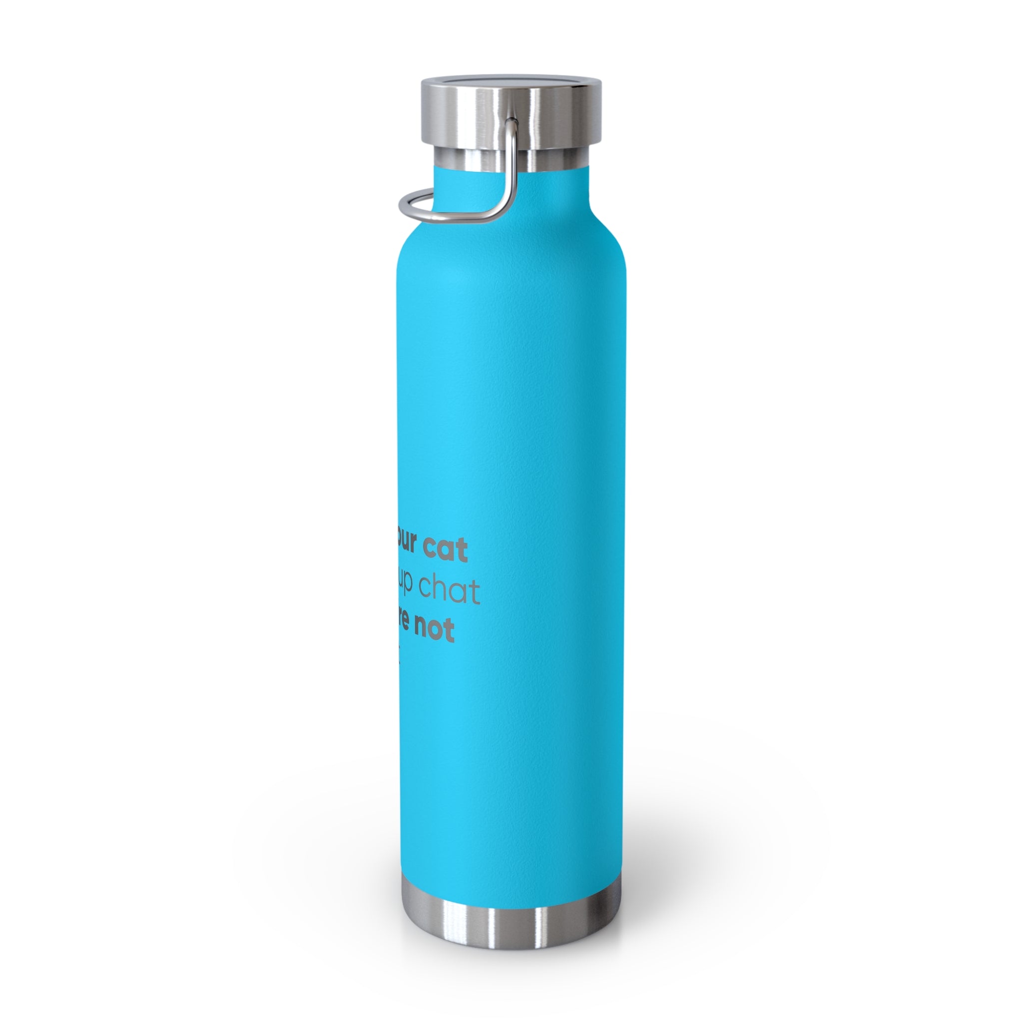 Red 22oz Insulated Bottle — Funny Cat Quote Water Thermos