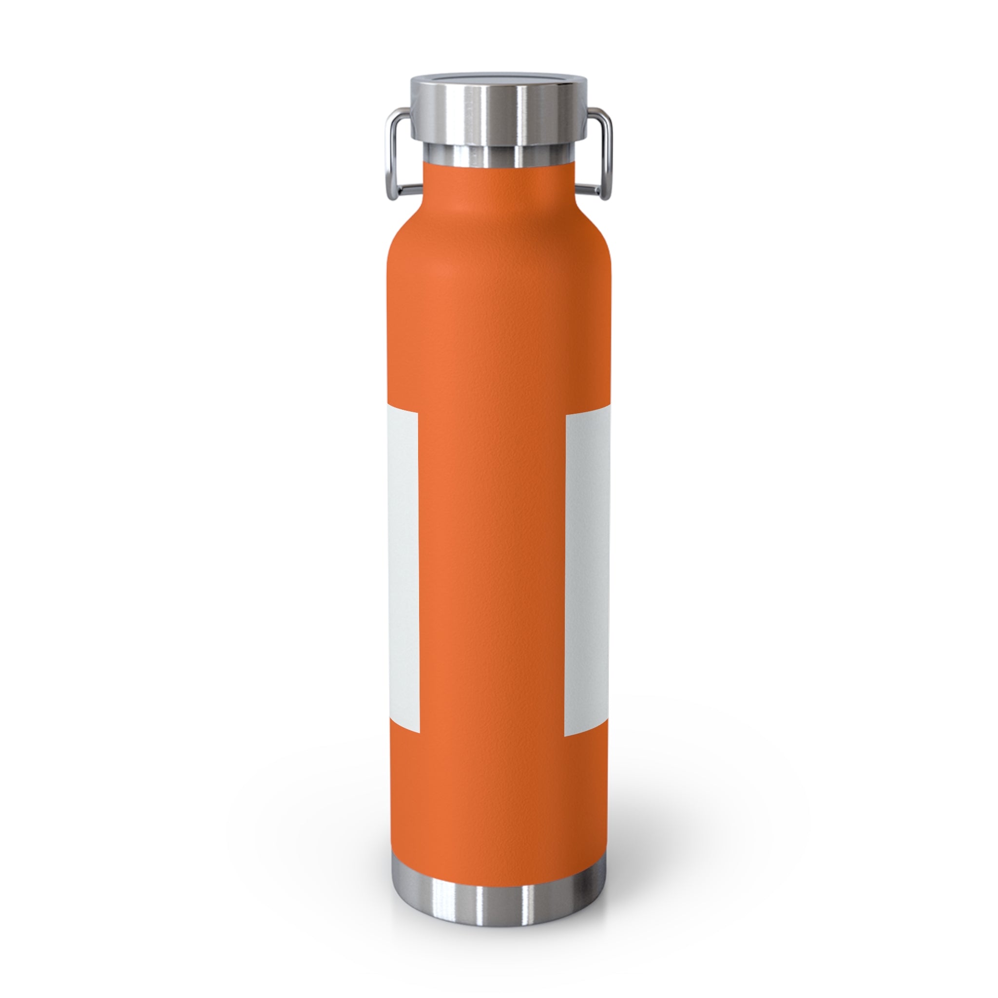Insulated Water Bottle — "Warning: This Dog Reports Everything You Do to Their Human" (22oz)