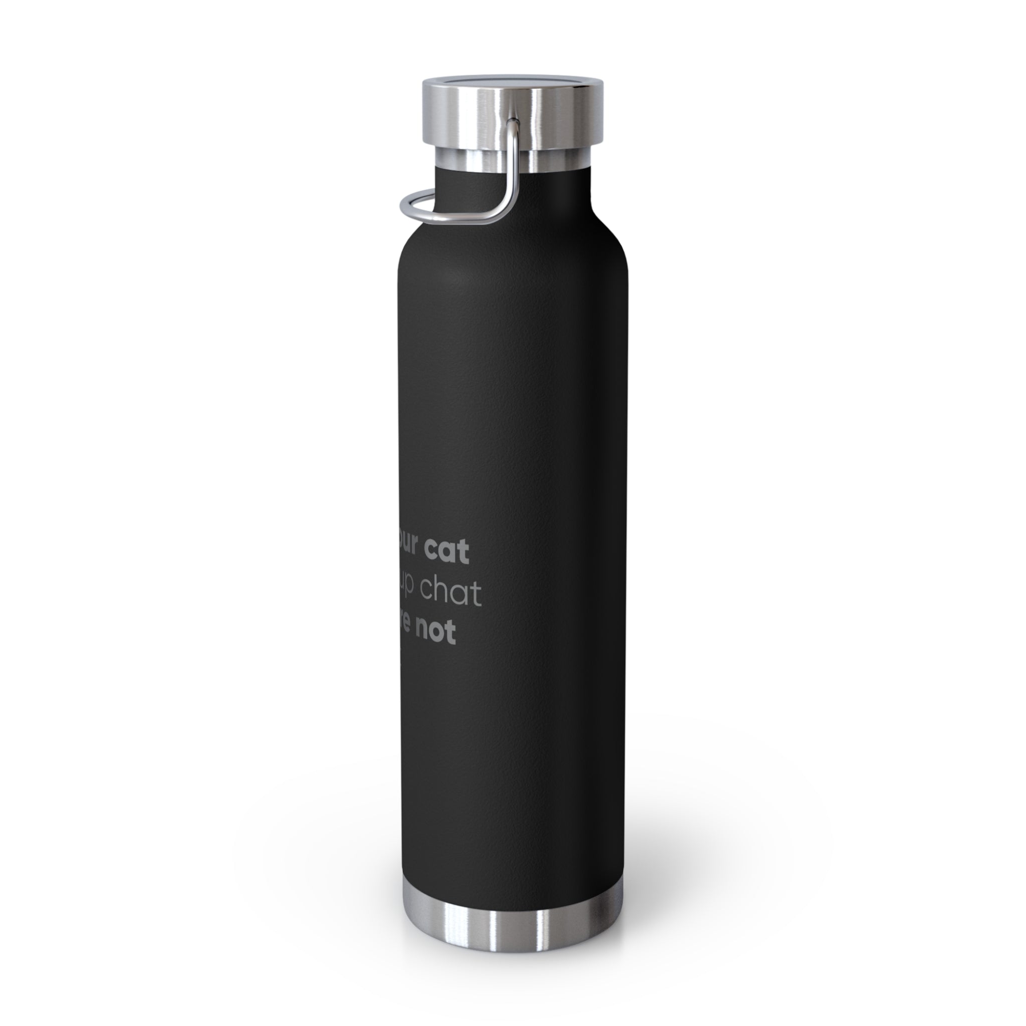 Red 22oz Insulated Bottle — Funny Cat Quote Water Thermos