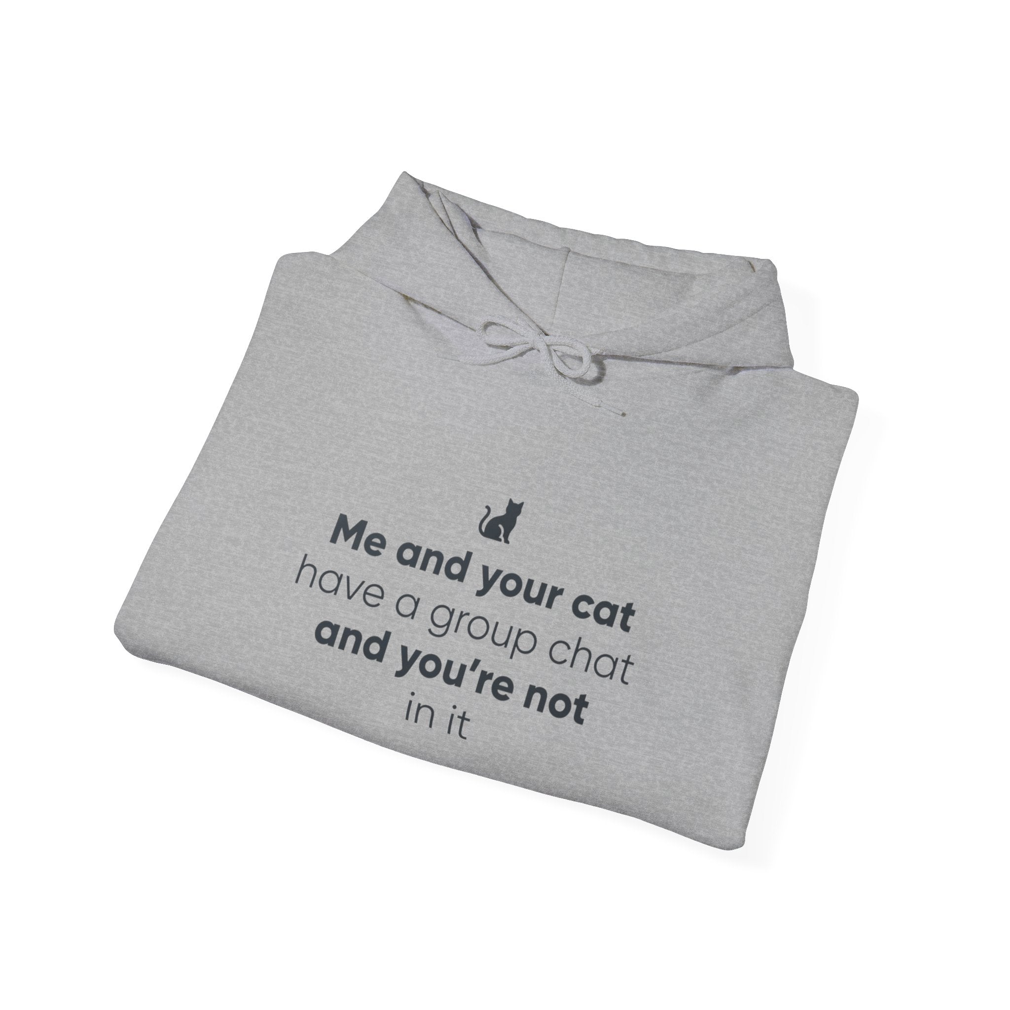 Cat Lovers Hoodie — “Me and your cat have a group chat and you’re not in it”