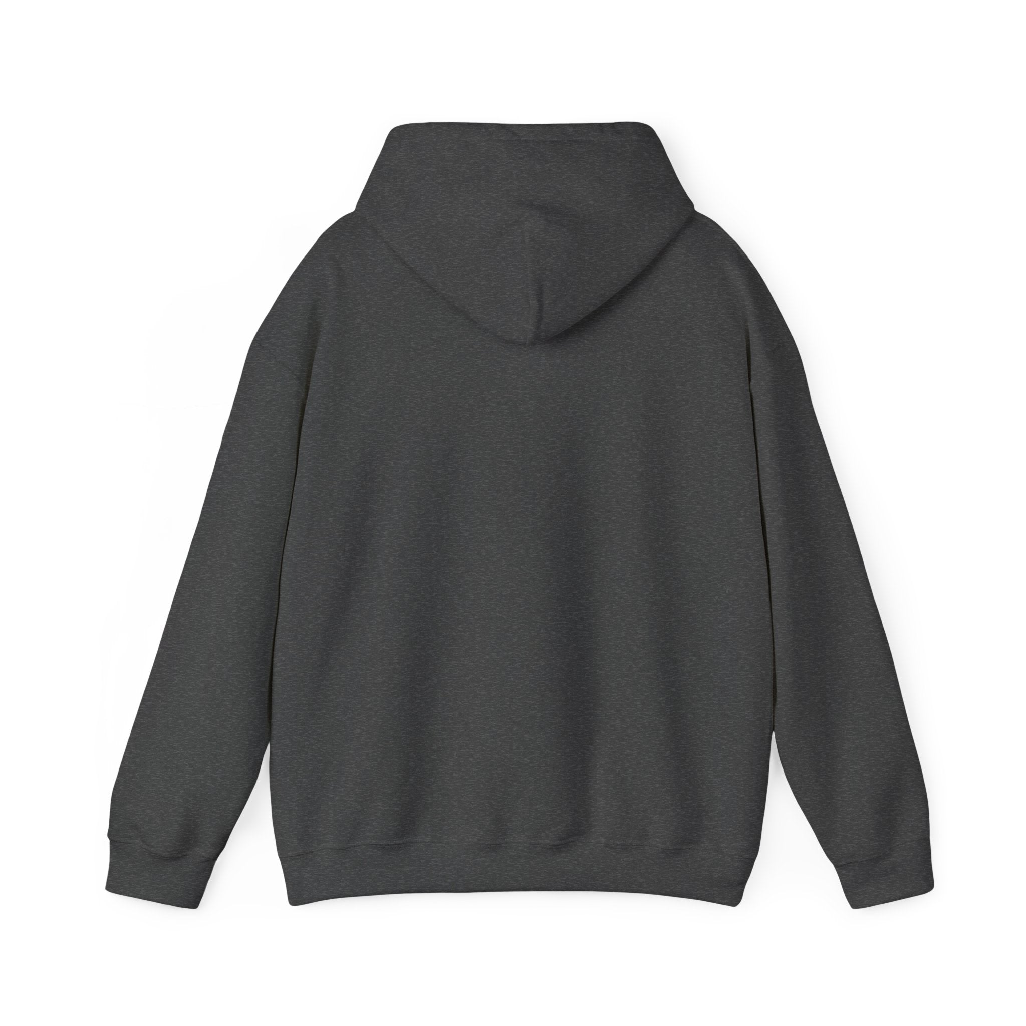 Hoodie — "Warning: This Dog Reports Everything You Do to Their Human" Funny Dog Lover Pullover